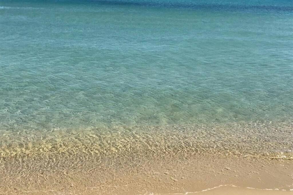 2 Bedrooms, 15 Min Walk To Beach, Ac, Pool & Fiber Internet In A Quiet, Private Gated Domain 5Kms To St Tropez Коголин Экстерьер фото